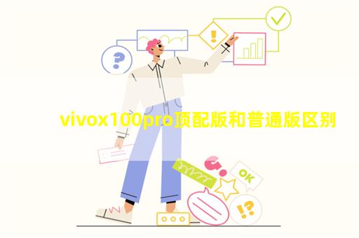 vivox100pro顶配版和普通版区别