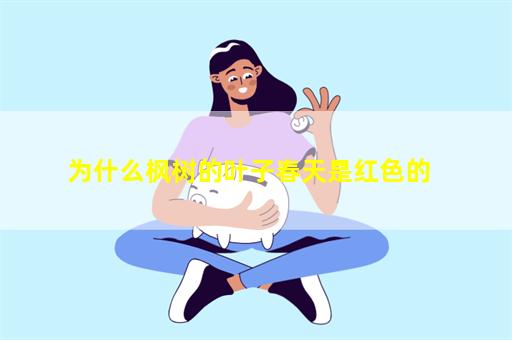 为什么枫树的叶子春天是红色的