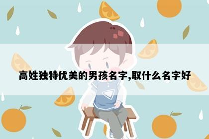 高姓独特优美的男孩名字,取什么名字好